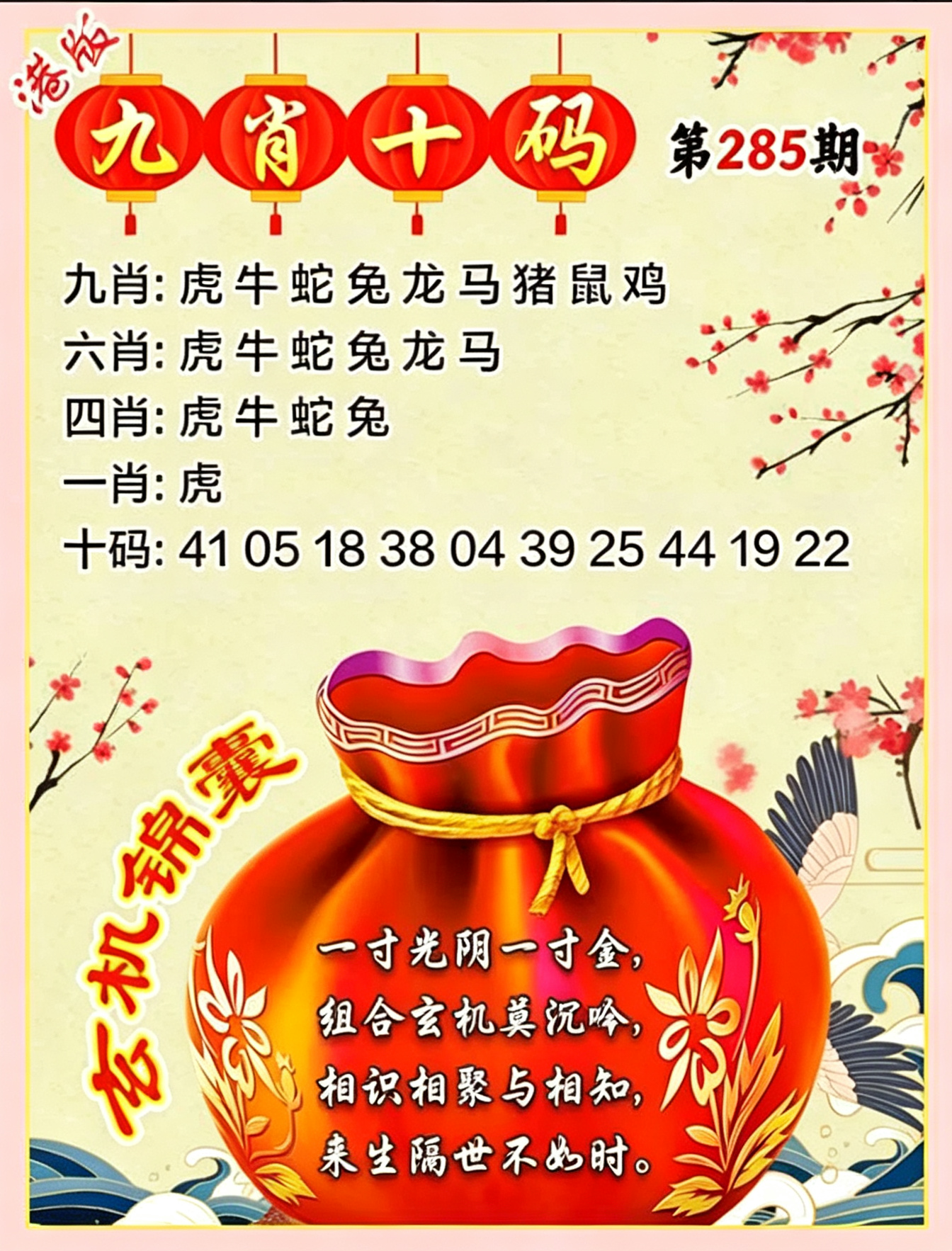 九肖十码