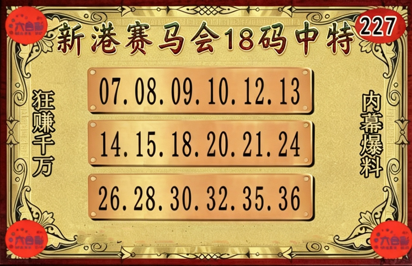 内部18码
