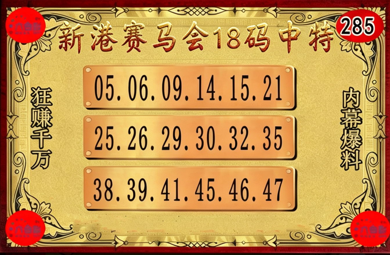 内部18码
