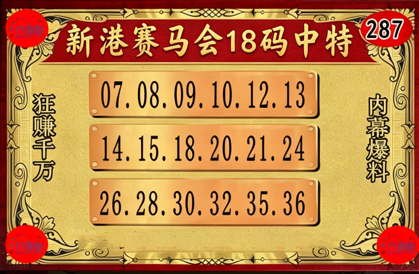 内部18码