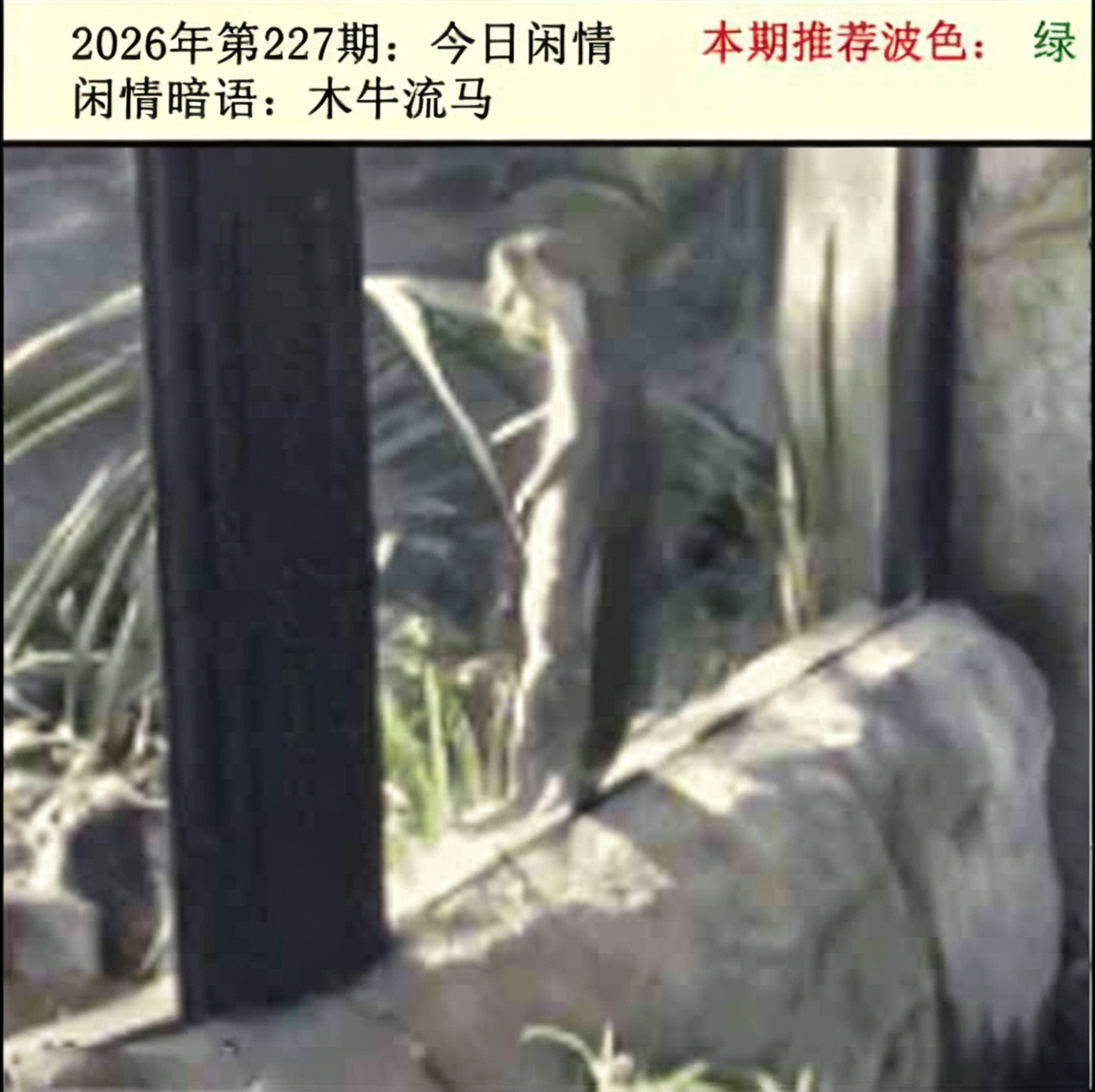 本期推荐